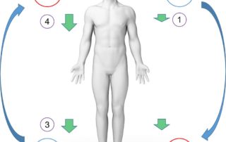 12 נקודות הקסם ד"ר טאן