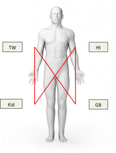 איזון מצב חום על רקע חוסר - Shao Yin Shao Yang